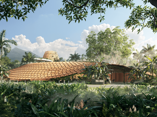 THE SEED - Costa Rica